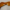 Панель боковая, левая (оранжевый)